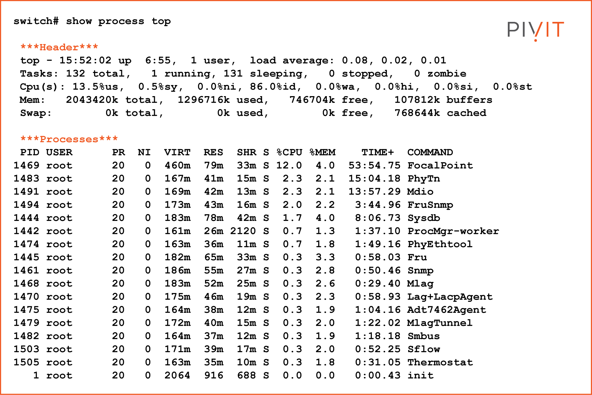 PIVIT-SWITCH# show process top (CLI)