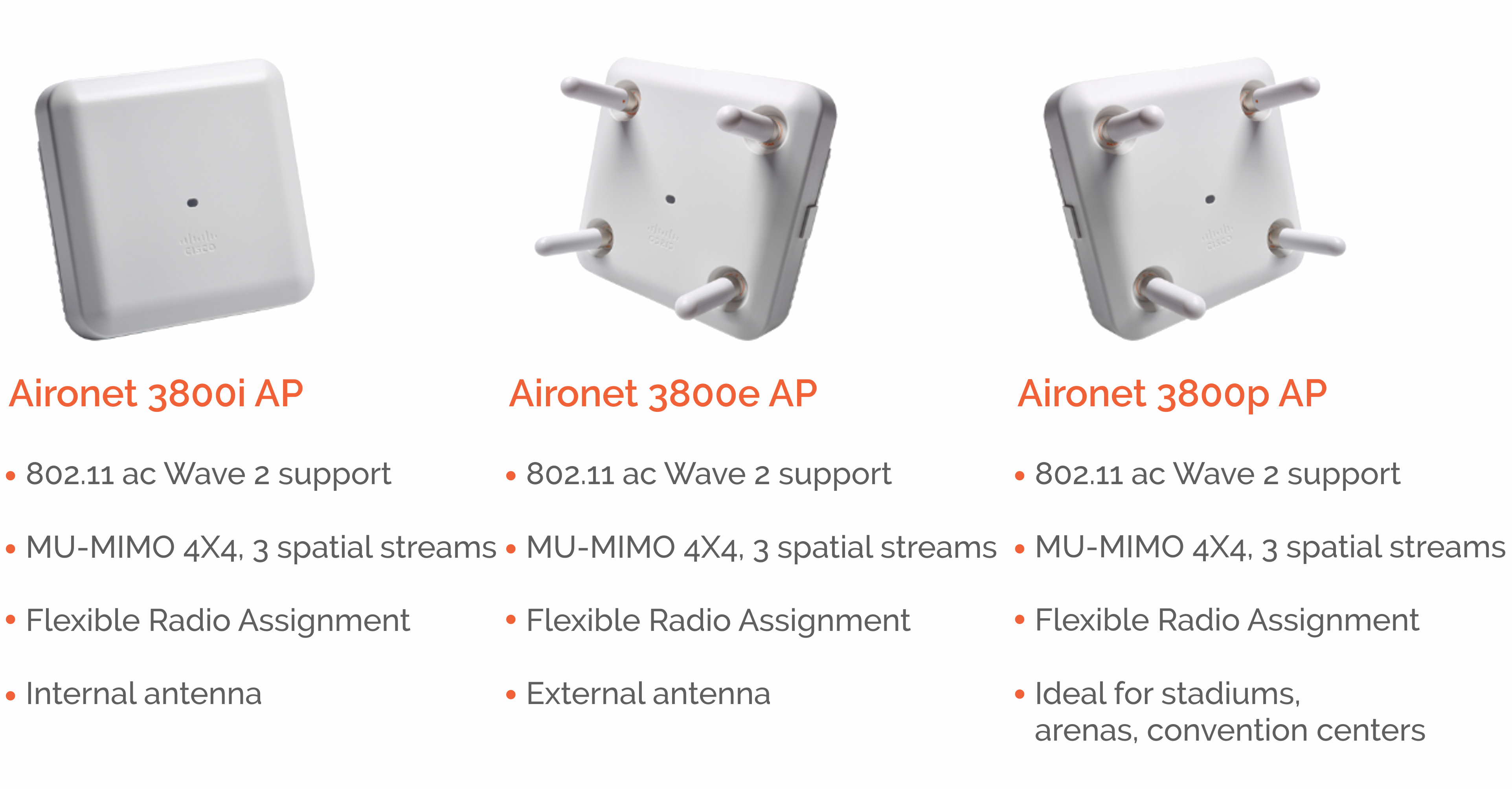 ass.8 3800 Domains model