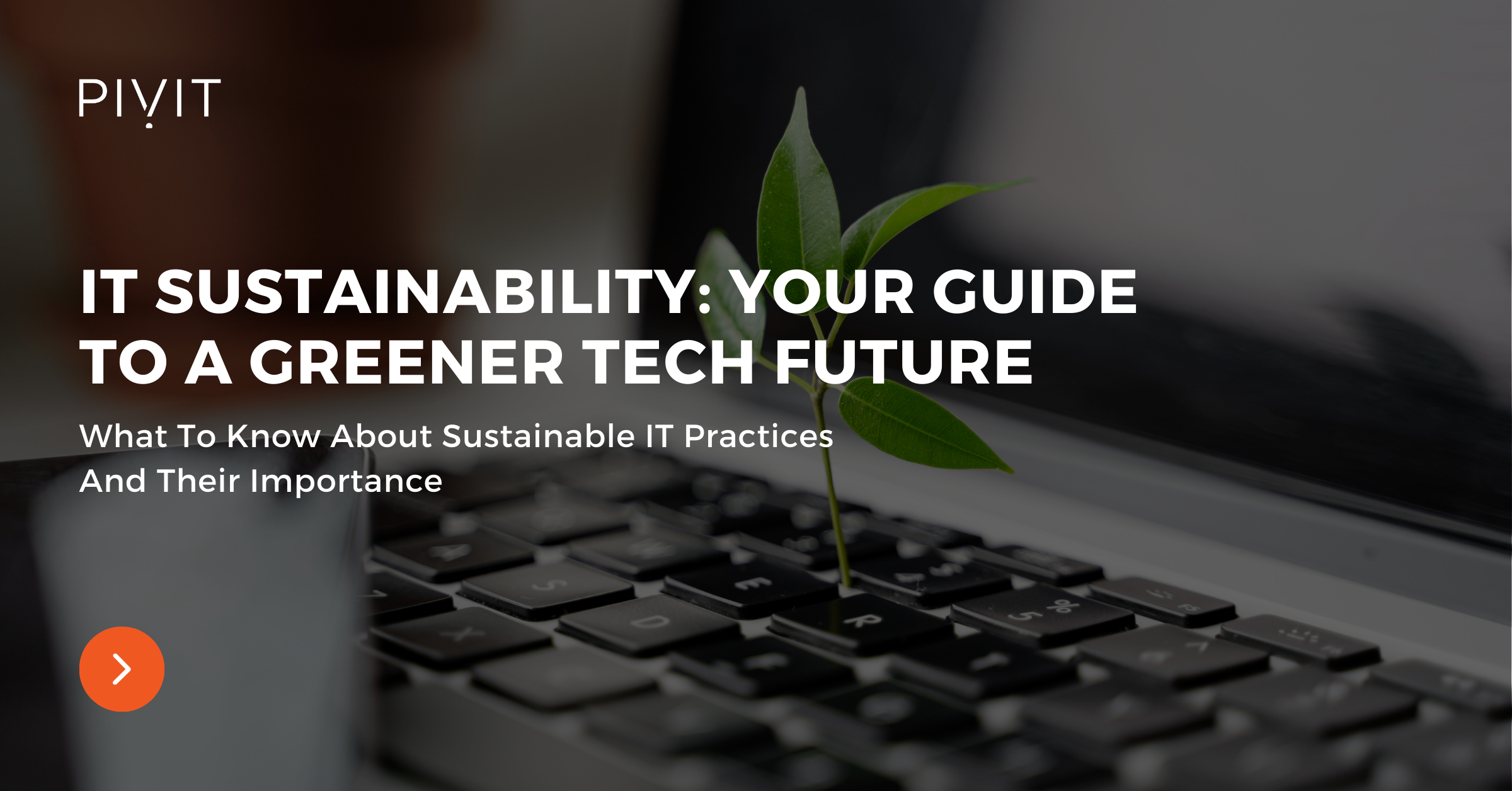 What To Know About Sustainable It Practices And Their Importance - IT Sustainability: Your Guide To A Greener Tech Future
